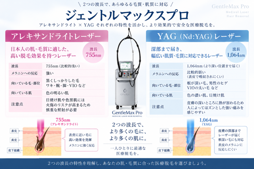 ジェントルマックスプロのアレキサンドライトレーザーとYAGレーザーの特徴・違い比較