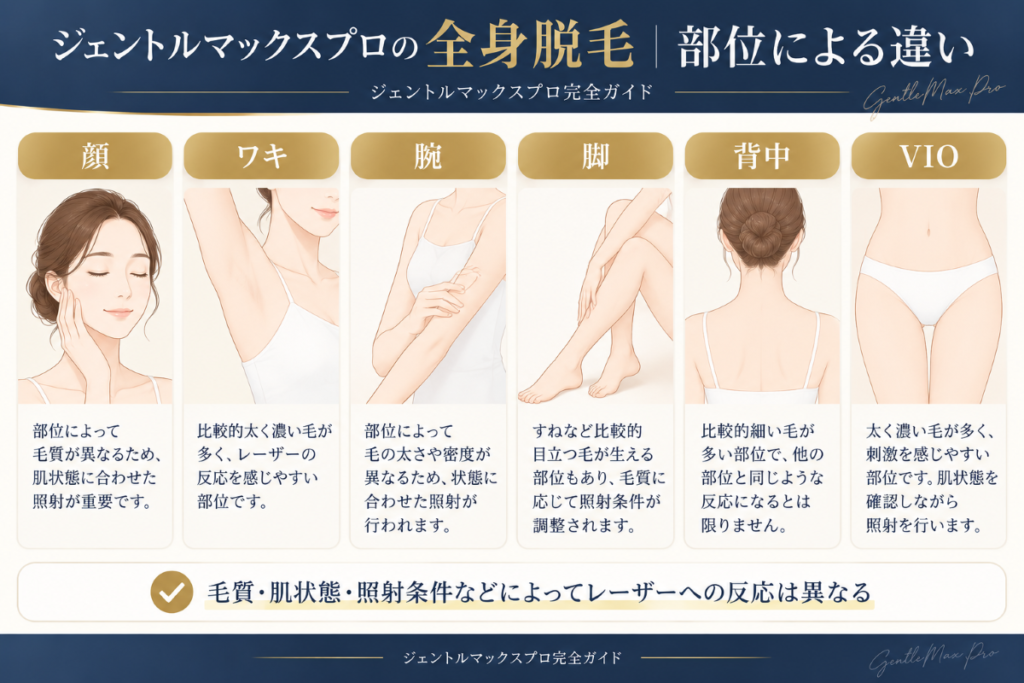 ジェントルマックスプロの全身脱毛で確認したい顔・ワキ・腕・脚・背中・VIOの部位による違い